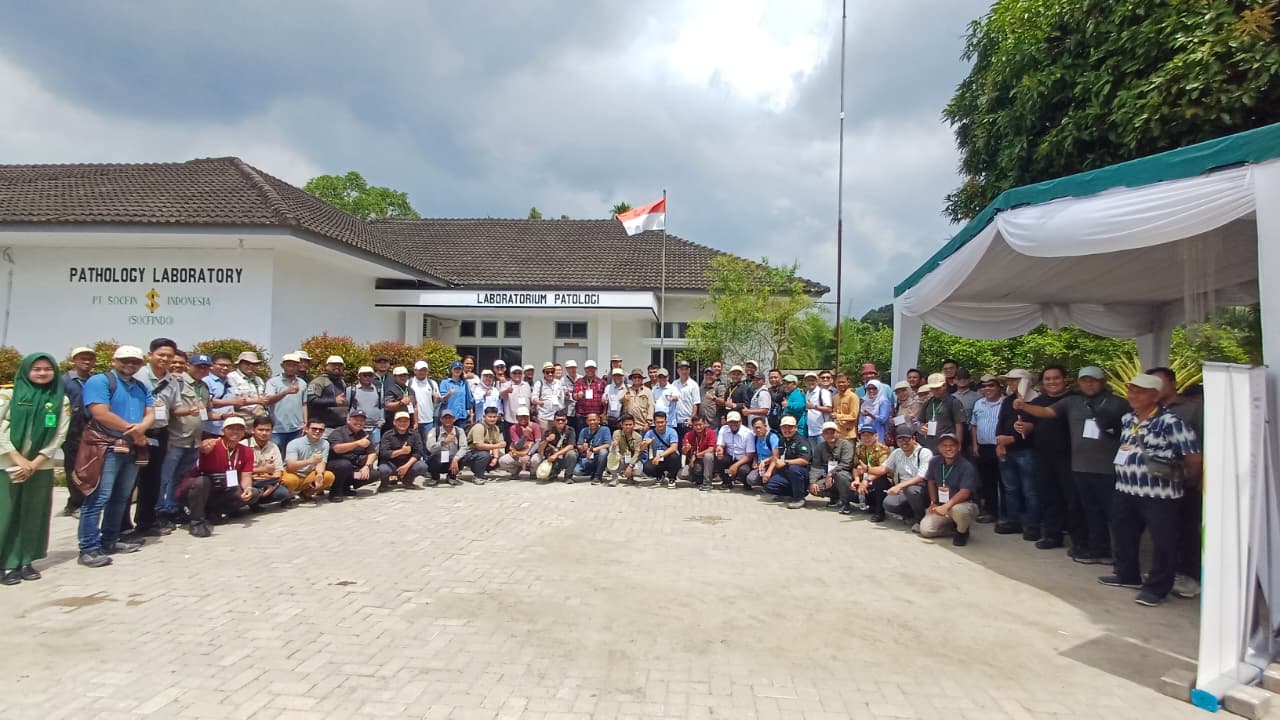 Field Trip ISGANO 2026 : Praktik Nyata Pengendalian Ganoderma di Kebun Tanah Gambus PT Socfindo
