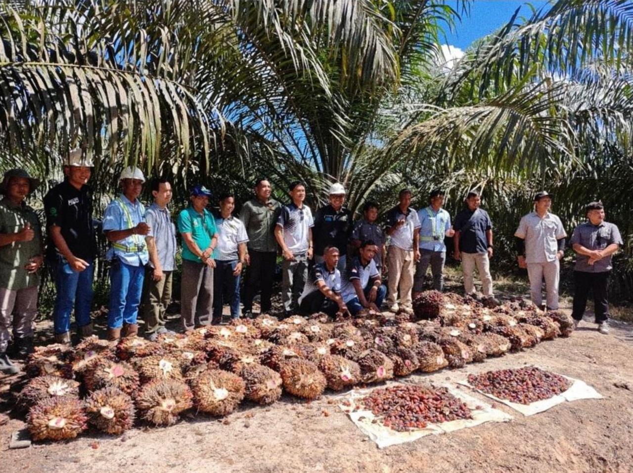 Kunjungan ke Koperasi Istana Pawan Mandiri—peremajaan yang tumbuh berdampingan dengan pekebun rakyat