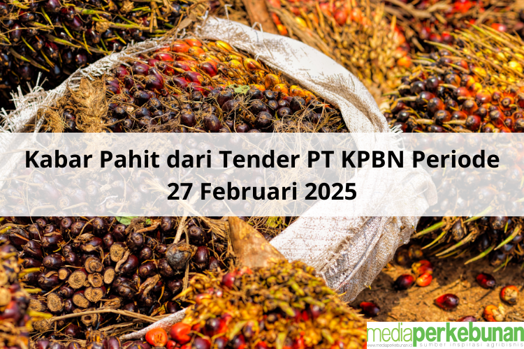 Kabar Pahit dari Tender PT KPBN Periode 27 Februari 2025