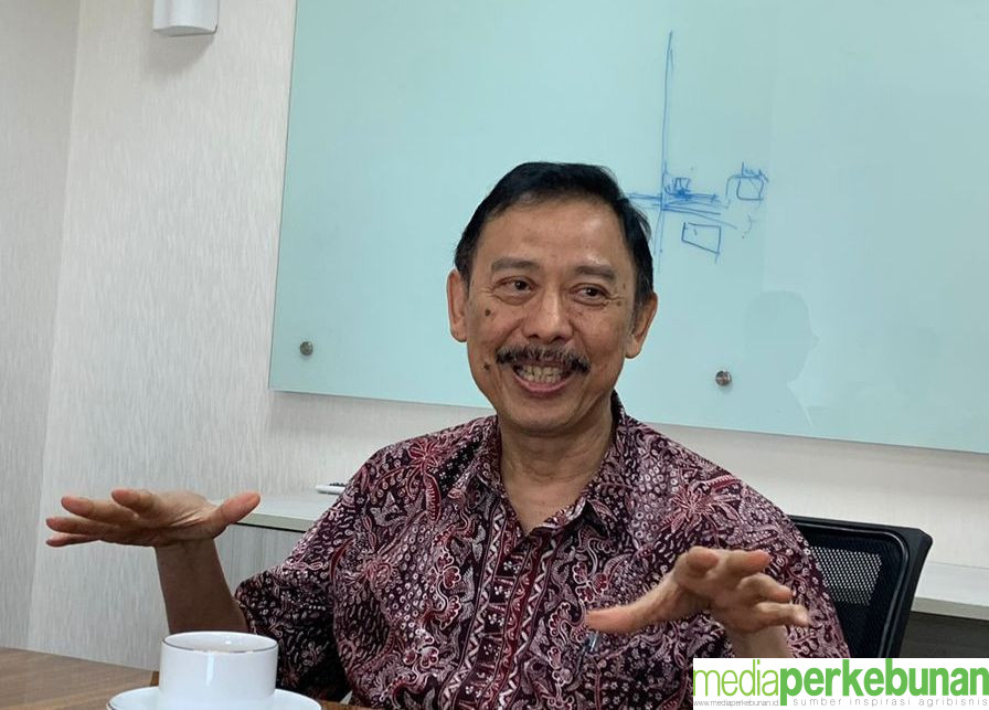 Mencapai Swasembada Gula 2030, Ketua GAPGINDO: Butuh Keseriusan Seluruh Pihak