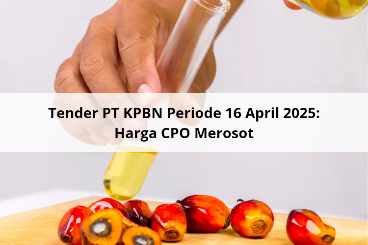 Tender PT KPBN Periode 16 April 2025: Harga CPO Merosot