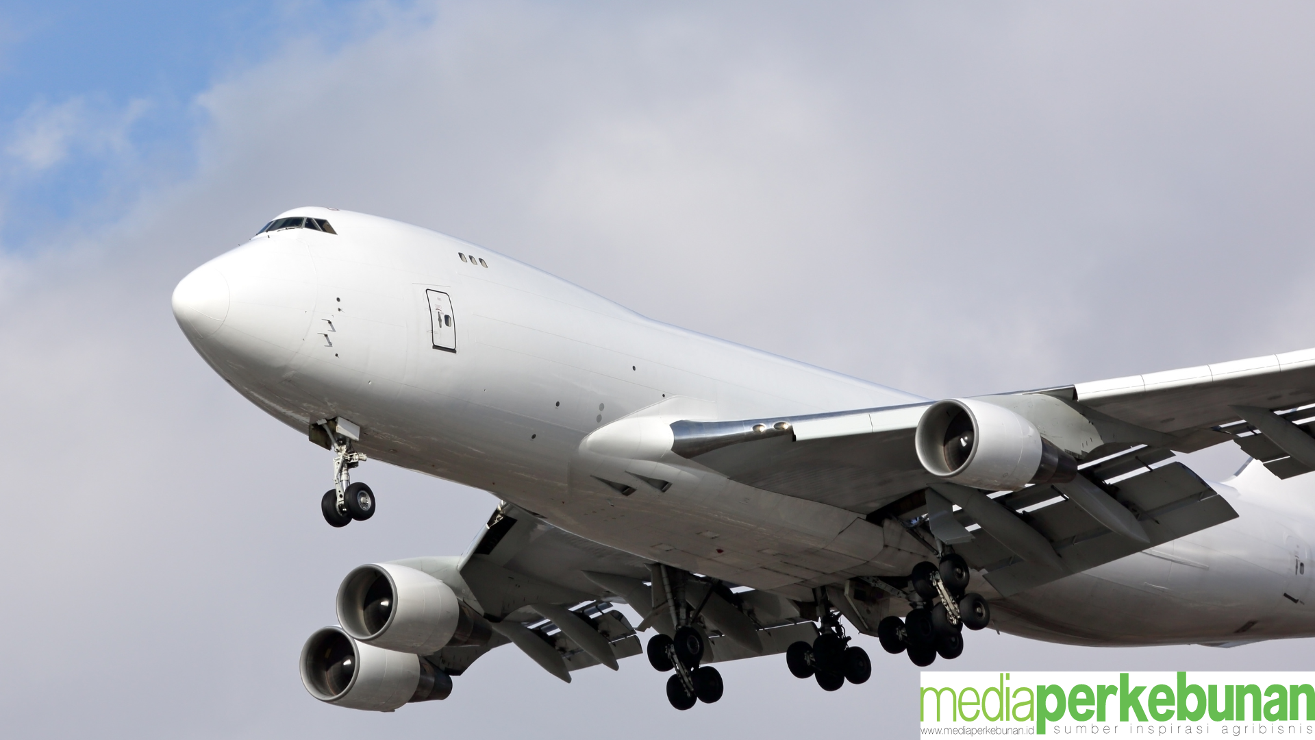 ICAO Akui Kelapa Non Standar sebagai Bahan Baku SAF, IJBN Persiapkan Industrinya