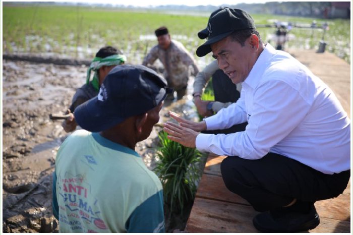 Mentan Amran Tegaskan Soal Rehabilitasi 98.000 Hektar Sawah Pascabencana di Sumatera