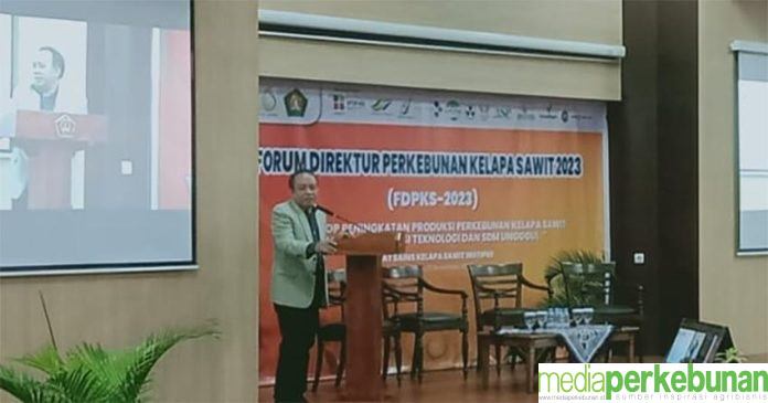 Besarnya Tantangan Kelapa Sawit, INSTIPER Gelar FDPKS 2023