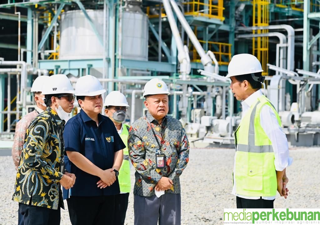 <strong>PT PIM TAMBAH KAPASITAS PRODUKSI PUPUK NASIONAL</strong>