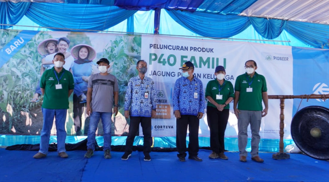 Corteva Agriscience  Luncurkan Benih Jagung Hibrida Pioneer® P40 Famili