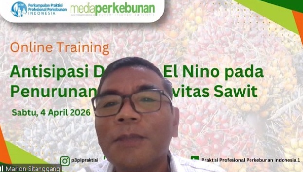Menjawab Tantangan Prediksi El Nino 2026 pada Produktivitas Sawit