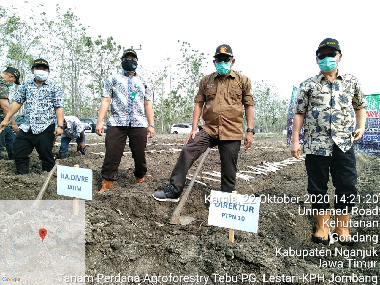 TAMBAH PASOK BAHAN BAKU TEBU, PTPN X FOKUS GARAP AGROFORESTRY
