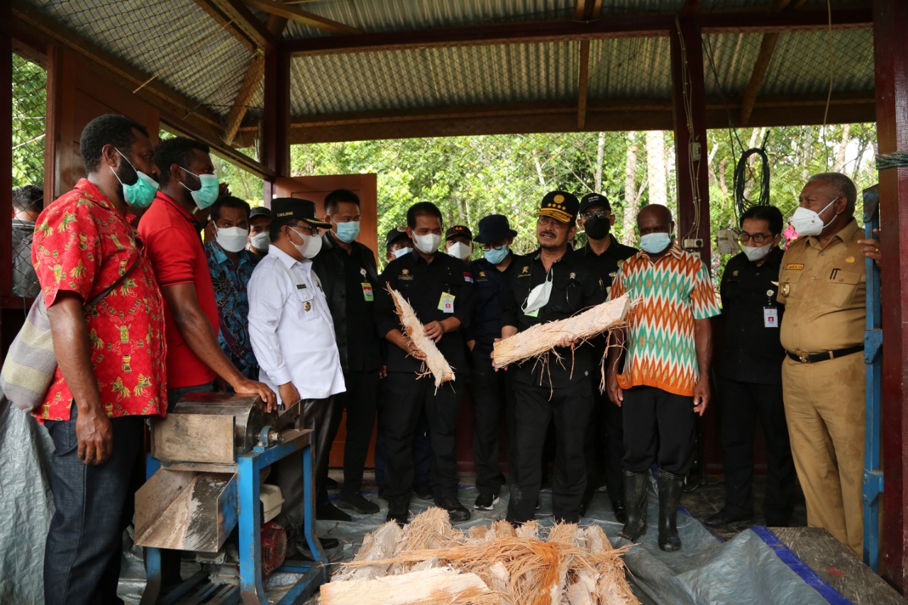 Hutan Sagu Papua Barat Didorong Jadi Agrowisata