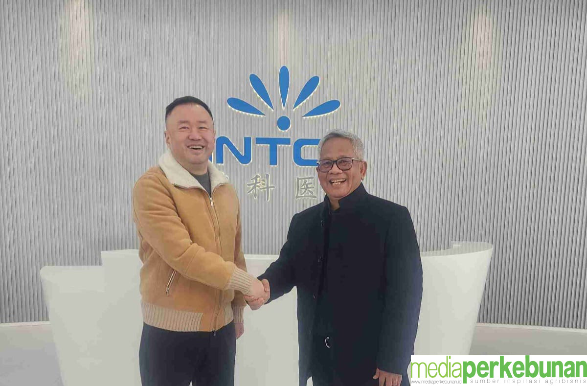 Gandeng Holding PTPN, Tiongkok Bakal Investasi Karet di KEK Sei Mangkei