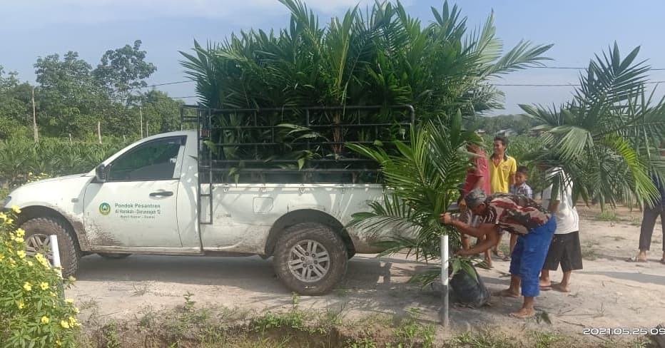 MUDAHKAN  KETELUSURAN, BENIH KELAPA SAWIT WAJIB CANTUMKAN QR CODE