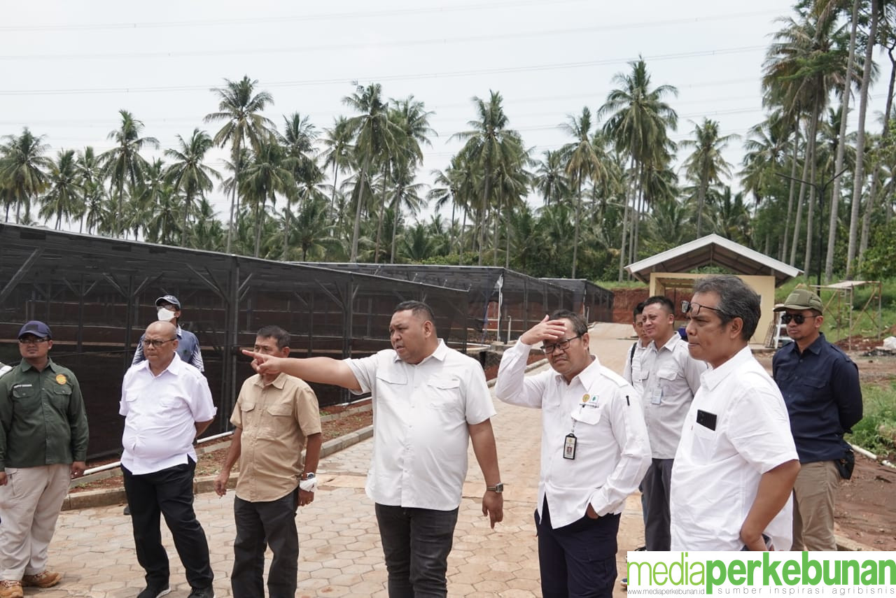 JAGA KESINAMBUNGAN, DIRJENBUN CARI MODEL BISNIS NURSERY MODERN KEDEPAN