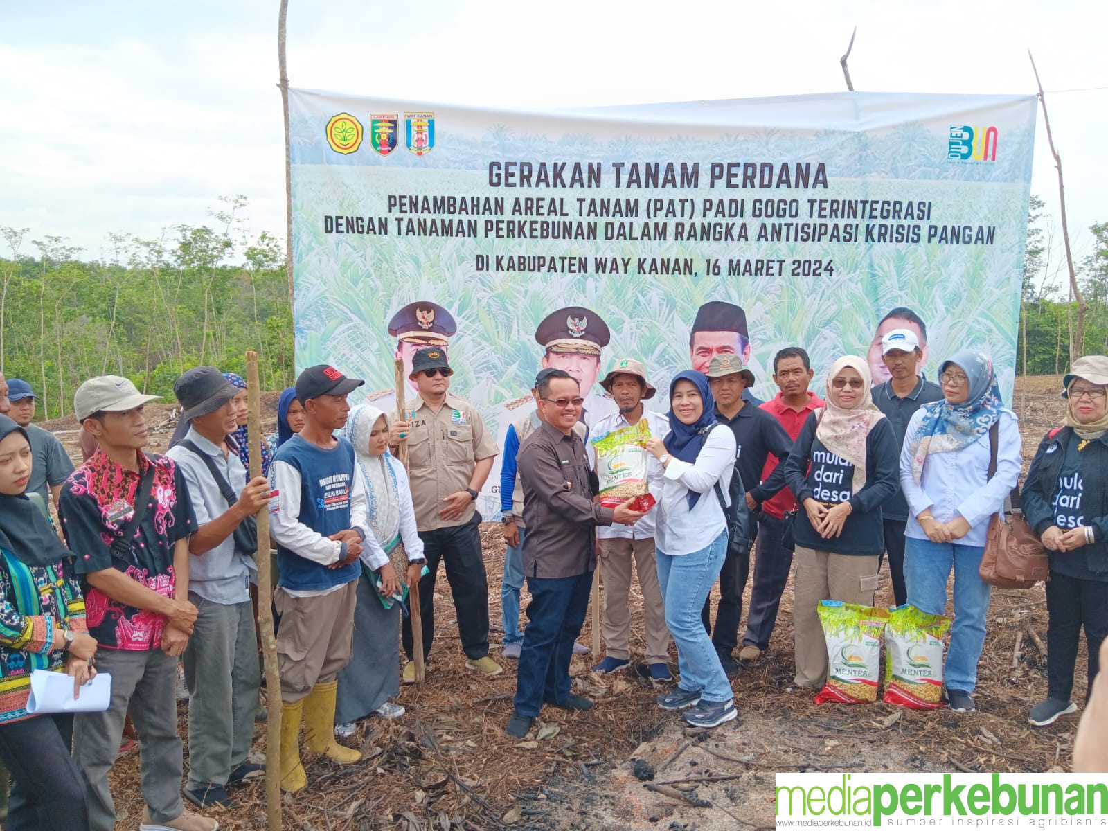 Cegah Krisis Pangan, Kementan Kick Off Padi Gogo di Way Kanan