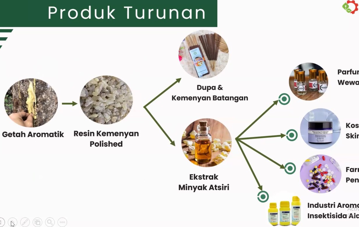 Hilirisasi Kemenyan Asal Takut dan Humbahas Dimulai, Termasuk untuk Produksi Minyak Atsiri