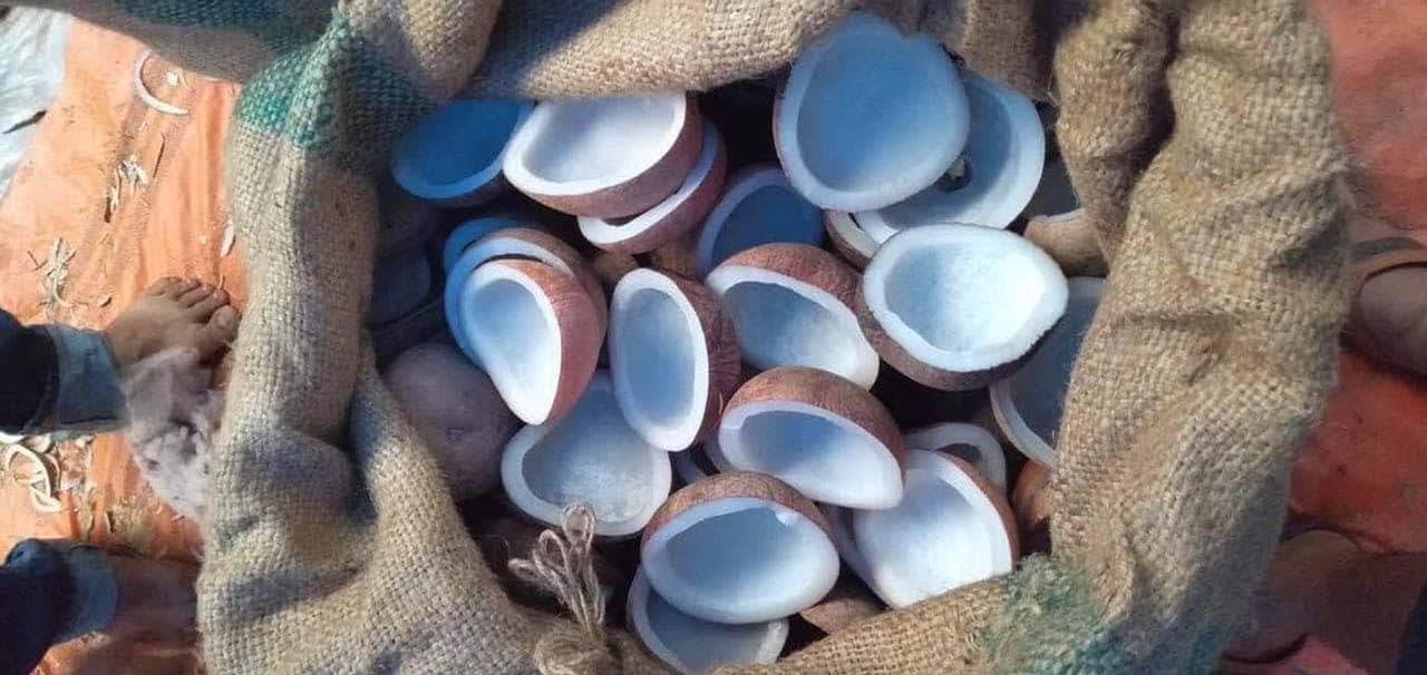 Permintaan Kopra Putih Besar, Peluang Bagi Petani Kelapa