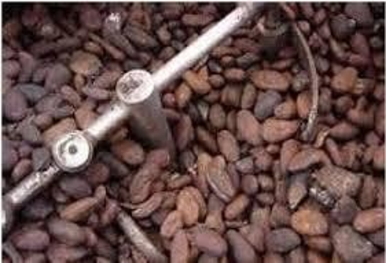 PELUANG PASAR KAKAO TERBUKA, PRODUKSI BIJI HARUS DITINGKATKAN