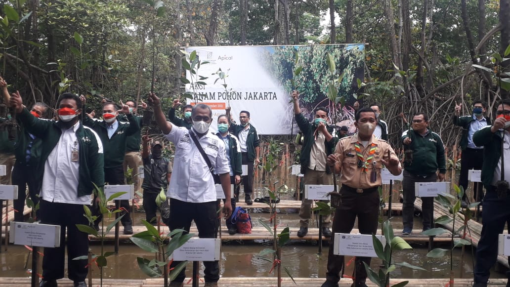 Apical Gandeng Pemda DKI Jakarta Selamatkan Mangrove