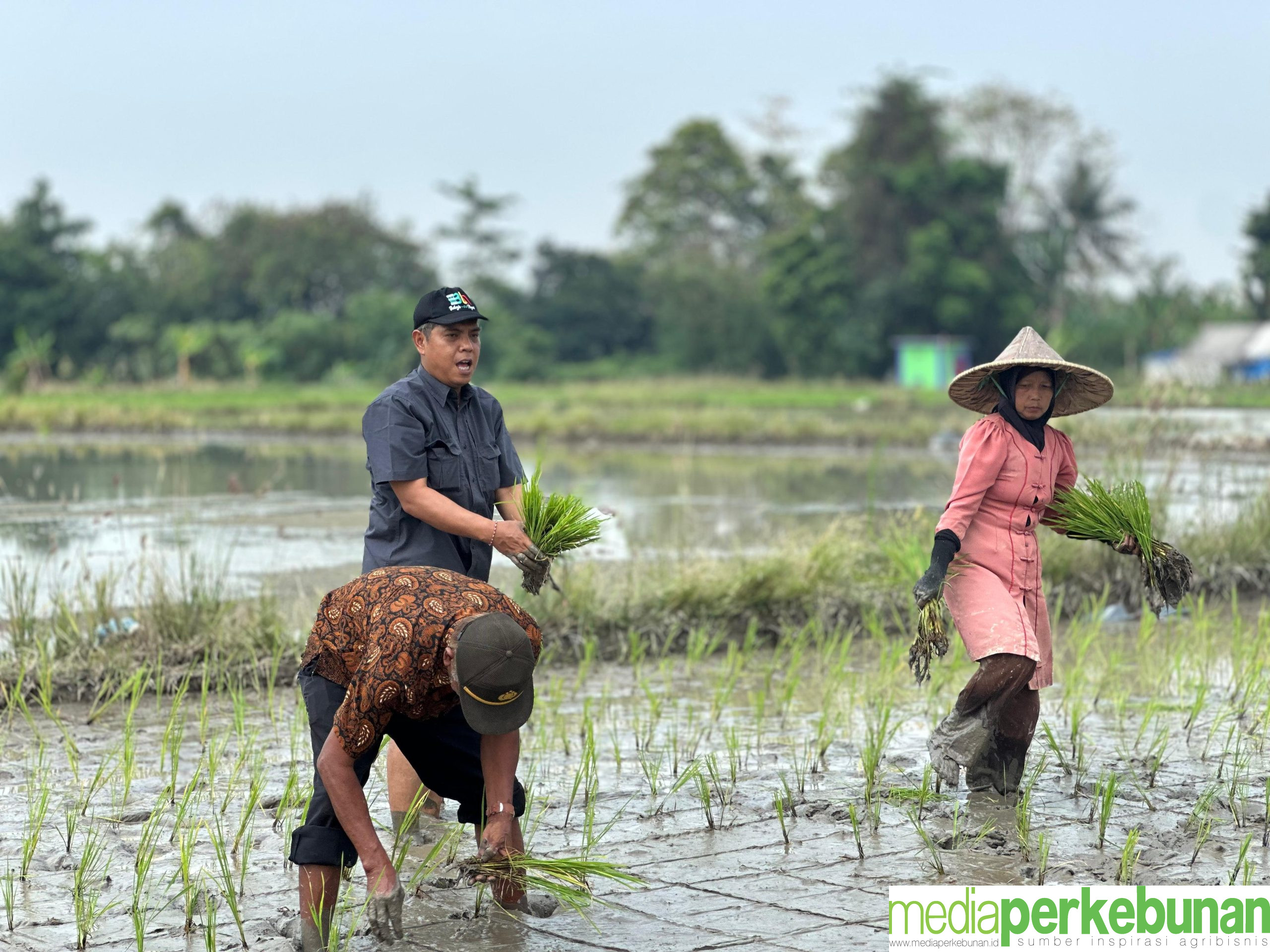 Kembali Lakukan Tanam, Irpom Berhasil Cegah Gagal Tanam Dimusim Kemarau
