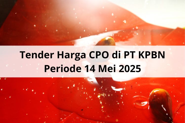 Tender PT KPBN Periode 15 Mei 2205: Harga CPKO Naik Ditinjau dari Sisi Ini!