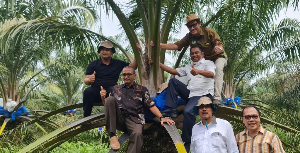 BUPATI DHARMASRAYA KUNJUNGI SOCFINDO DIDAMPINGI BUPATI SERDANG BERDAGAI