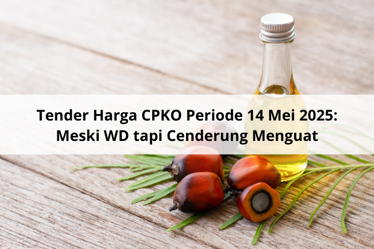 Tender Harga CPKO Periode 14 Mei 2025: Meski WD tapi Cenderung Menguat