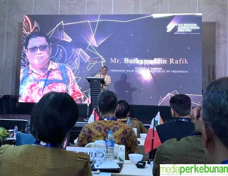 GULA KELAPA, BISNIS PALING MENJANJIKAN BAGI PETANI