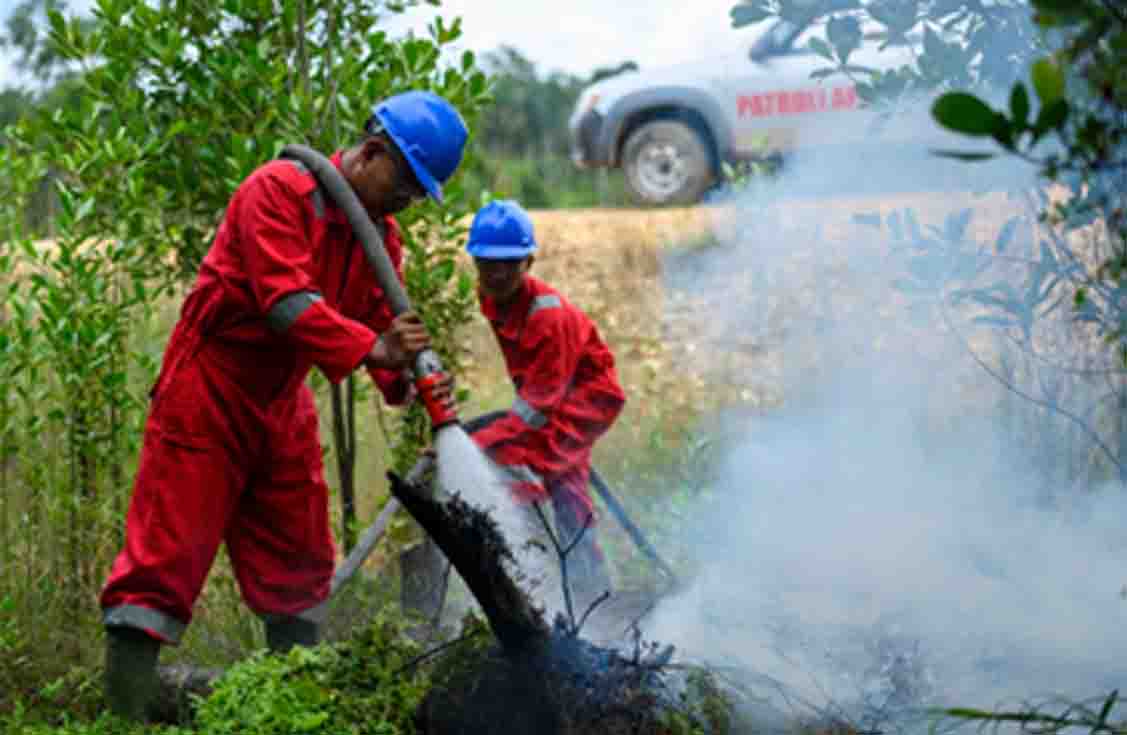 Pentingnya Sinergi Berbagai Pihak dalam Pencegahan Karhutla