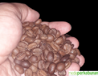 Siswa Milenial Mampu Hasilkan Kopi Berdaya Saing