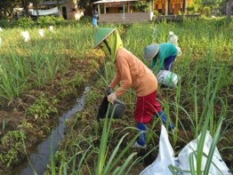 PG BARU HARUS KONSISTEN BANGUN KEBUN TEBU