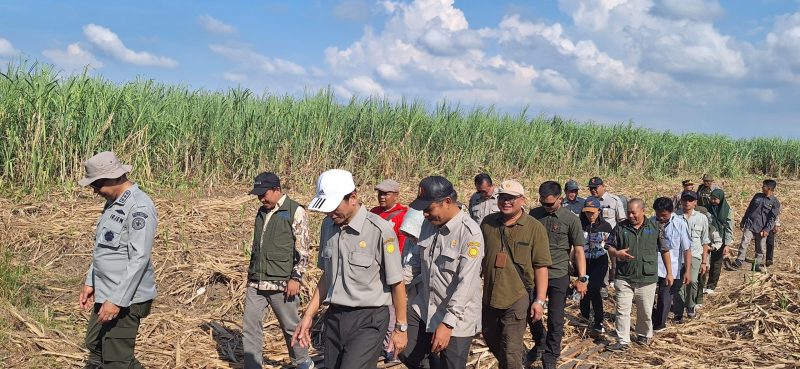Kementan ke Cirebon