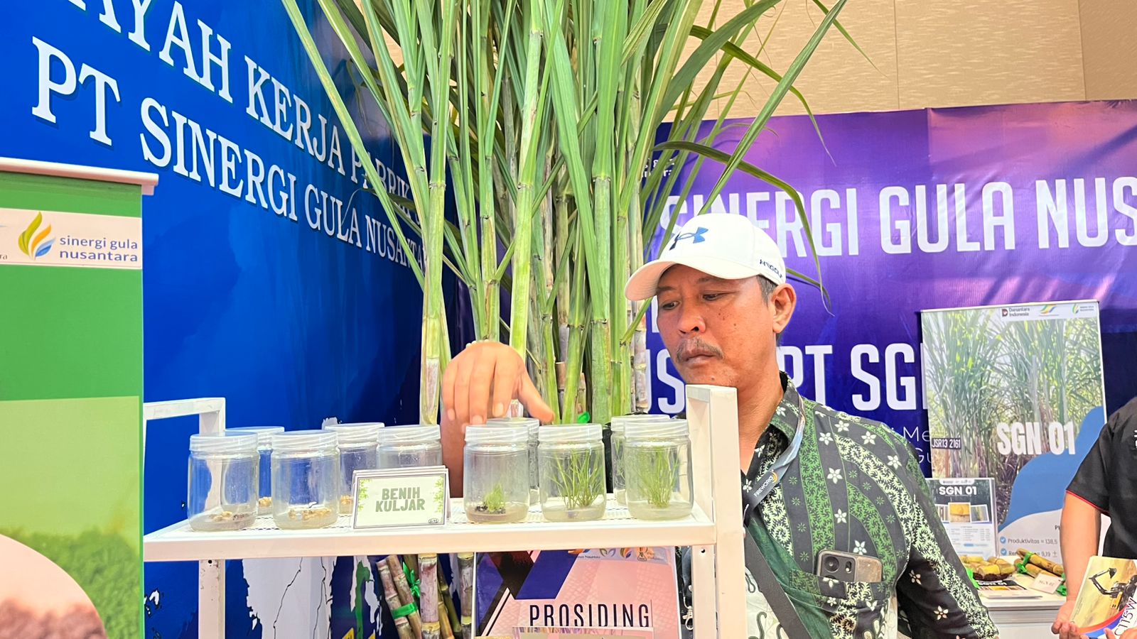 bibit sgn