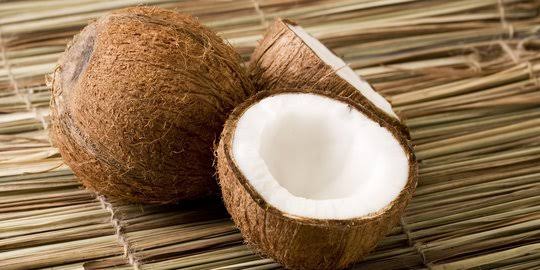 PE Diyakini Bakal Membuat Investor Asing Mau Berinvestasi Kelapa Bulat
