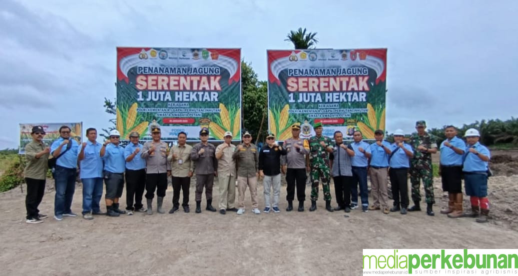 PT Sungai Rangit Sampoerna Agro Dukung Program Tanam 1 Juta Ha Jagung