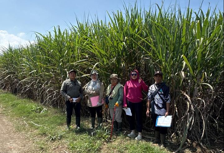 Benih Unggul AAS AGRIBUN Siap Sokong Program Bongkar Ratoon di Blitar