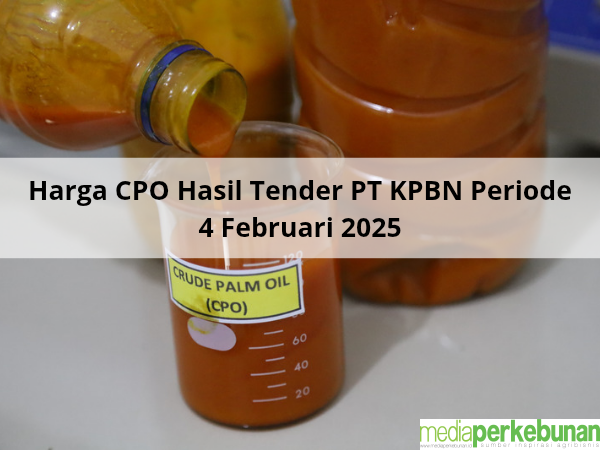 Usai Meroket, Tiba-tiba Anjlok Harga CPO Hasil Tender PT KPBN Periode 4 Februari 2025