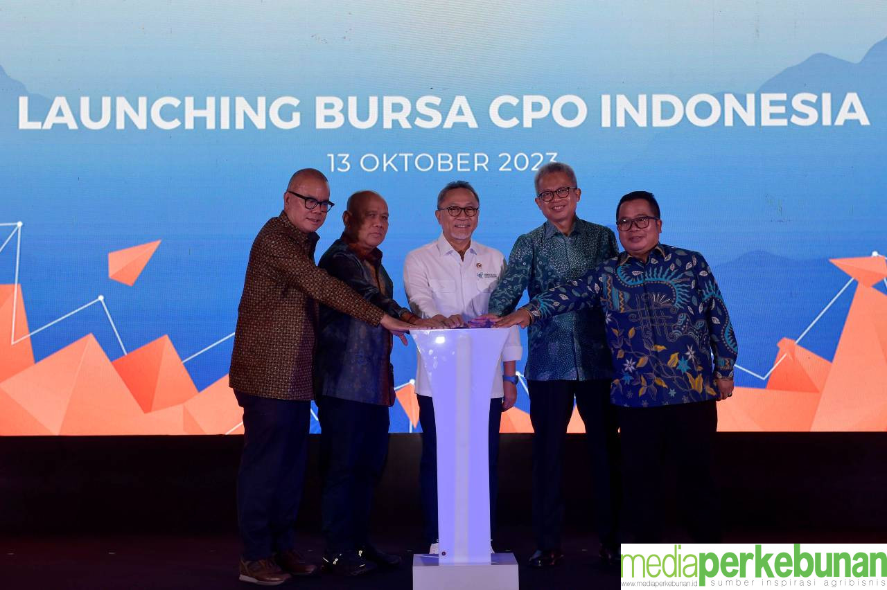 Bursa CPO Membuat Harga TBS Petani Lebih Baik
