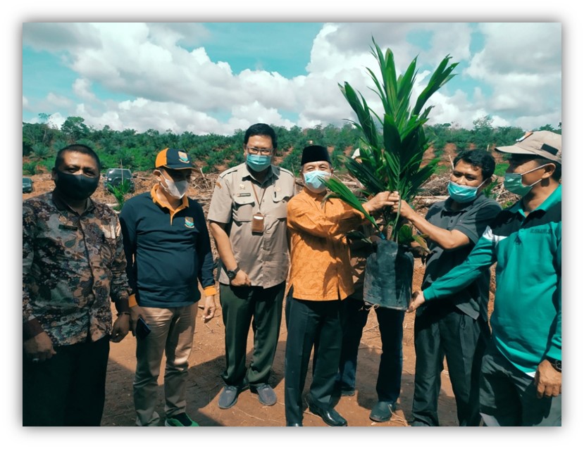 Aplikasi Deteksi Kebakaran di Perkebunan