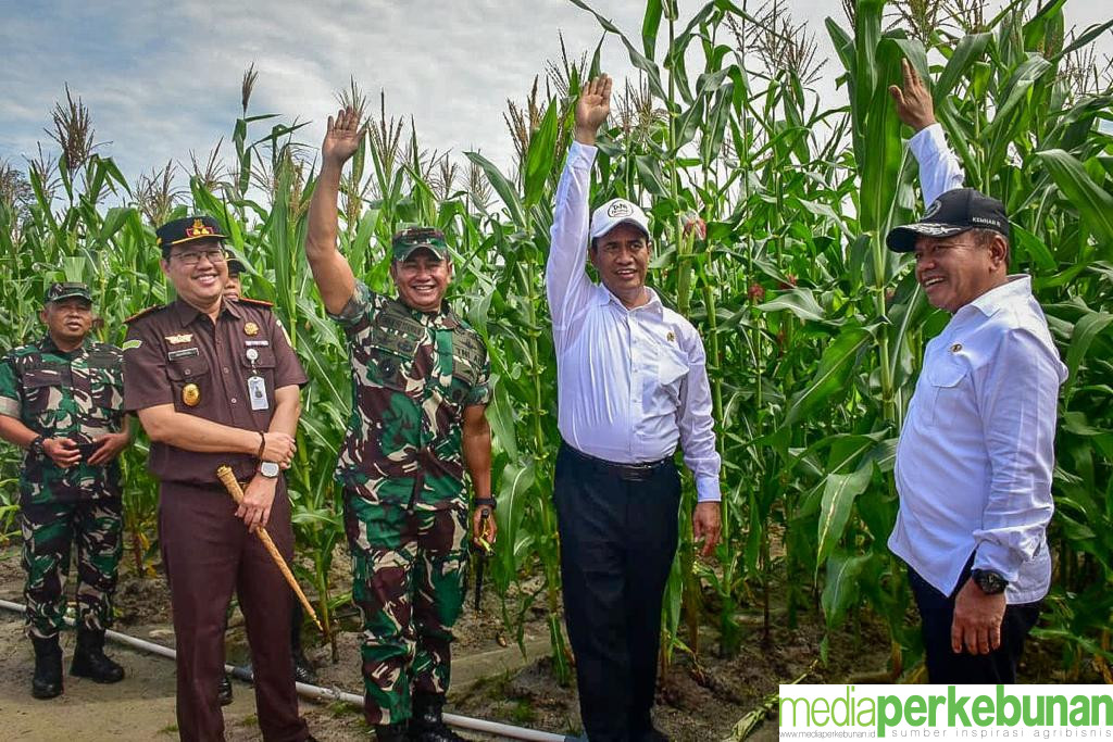 Mentan Amran Bantah Food Estate Gunakan Pot