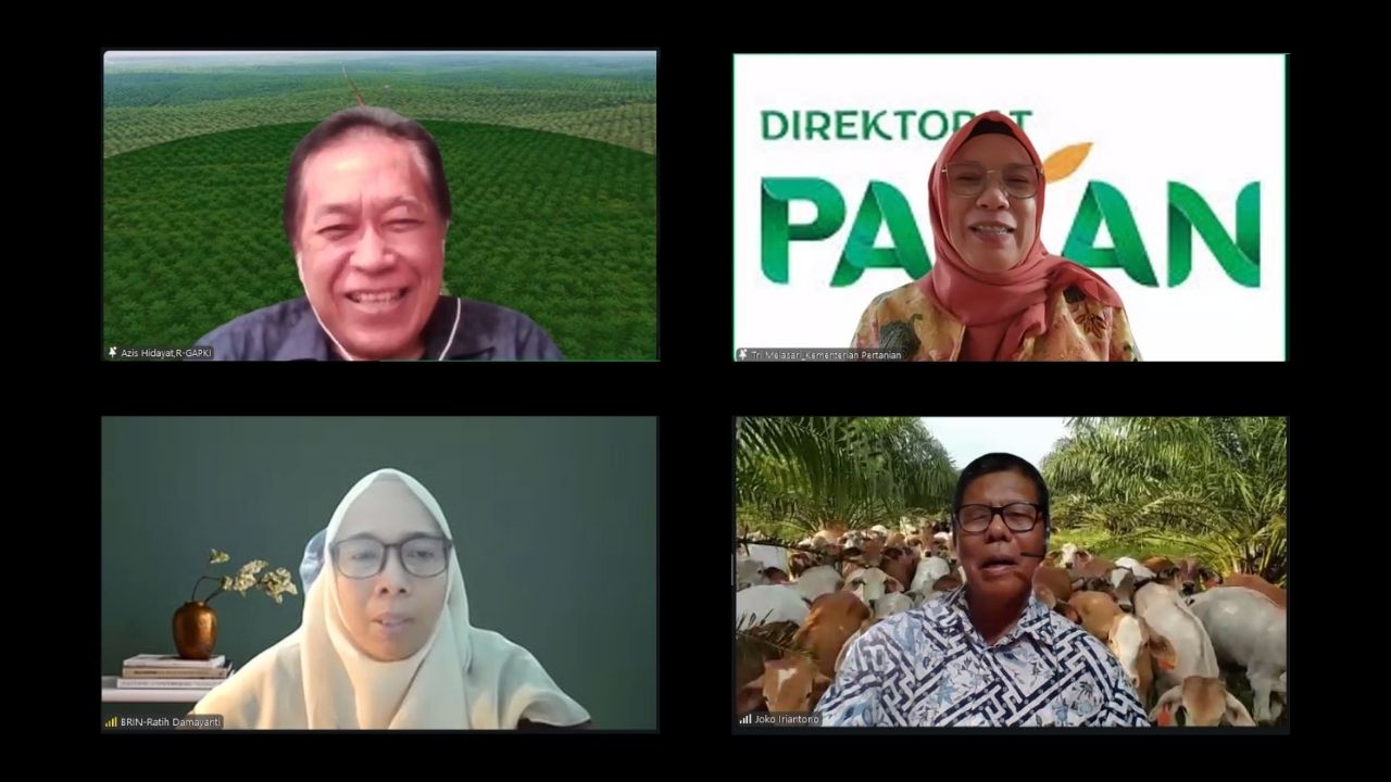 Integrasi Sawit-Sapi Dinilai Punya Potensi Besar Dorong Populasi Sapi Nasional