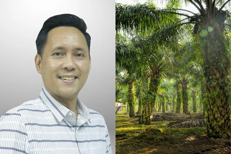 Perpres 5 Tahun 2025 Harus Ikuti Peraturan yang Lebih Tinggi terutama UU Kehutanan