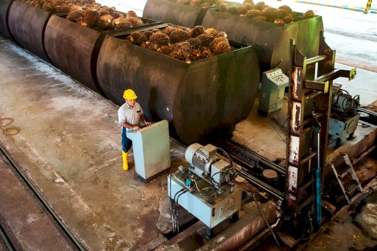 Industri Pengolahan Hasil Perkebunan Berizin Regulasi Pertanian Diminta Segera Melakukan Penyesuaian Izin Regulasi Perindustrian