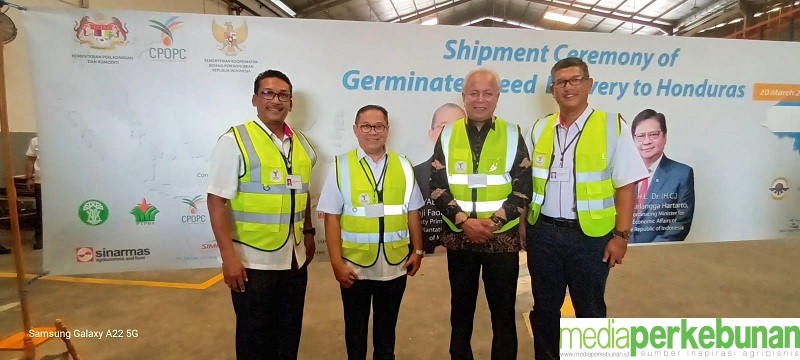 Minamas Plantation Donasikan 20.000 Benih Unggul iCalix untuk Petani Di HONDURAS