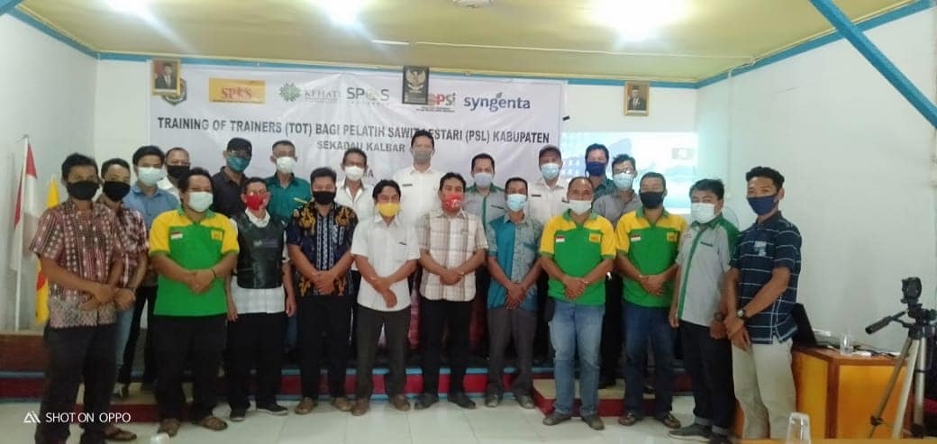 SPKS SEKADAU LATIH PENYULUH PENDAMPING PETANI SAWIT SWADAYA