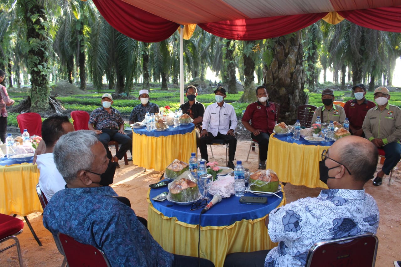 Sukses Bangun Kemitraan Petani, Dirut Holding Perkebunan Ingin Nasionalisasi Pola PTPN V