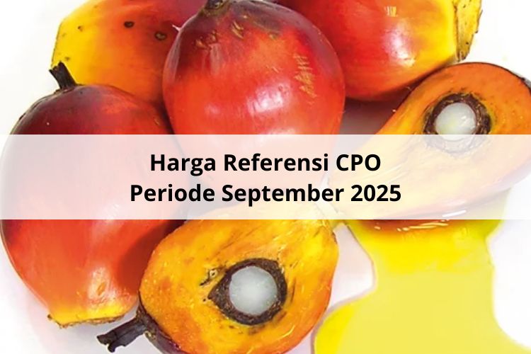 Untuk Ketiga Kali Naik Harga Referensi CPO Periode September 2025