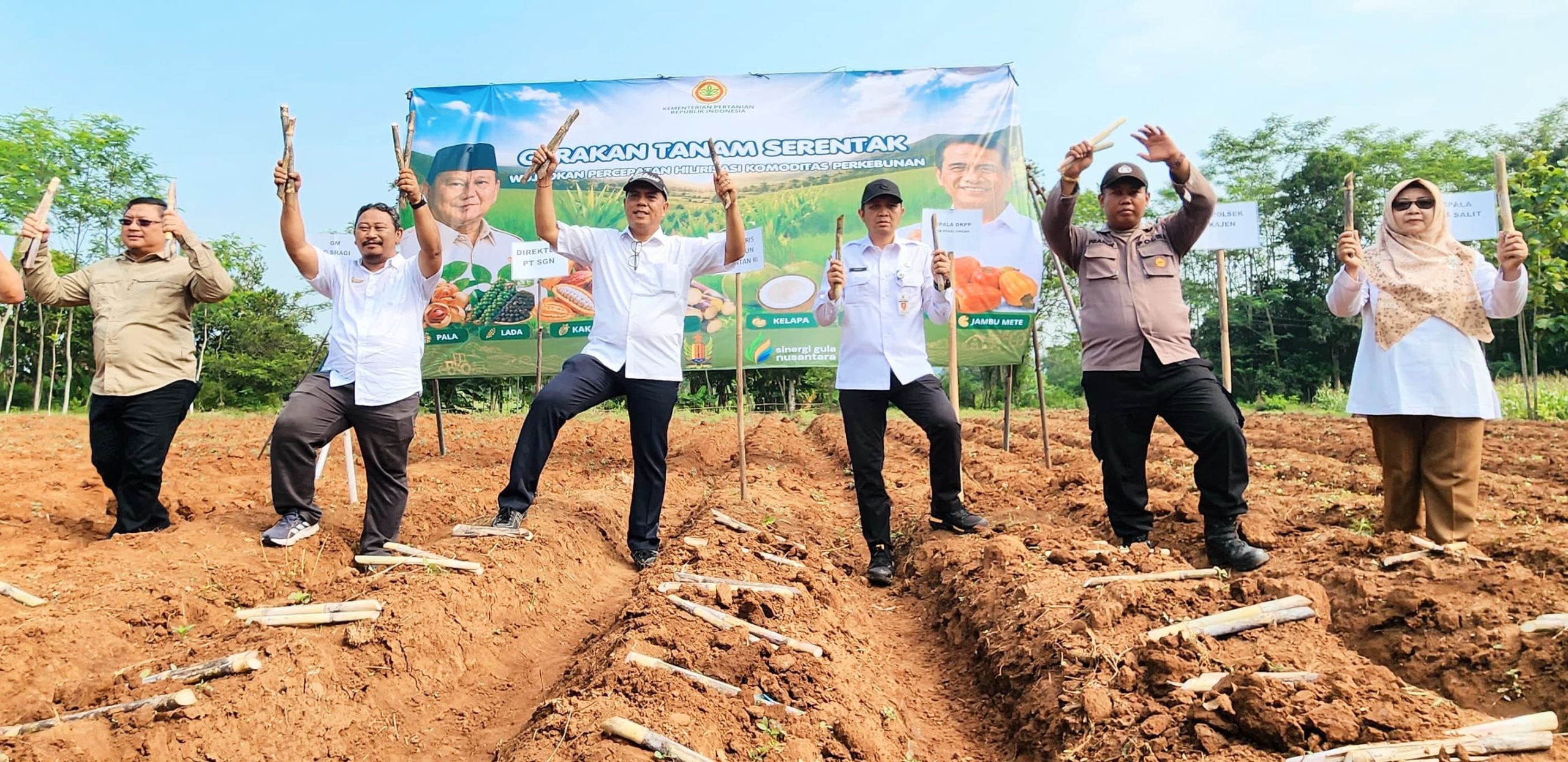 Kementan Dorong Percepatan Tanam Tebu, Perkuat Hilirisasi dan Swasembada Gula Nasional