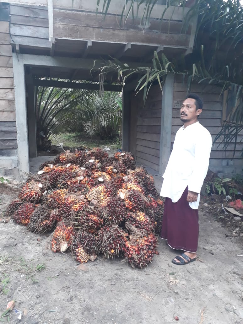 POLA INTI PLASMA HARUS DILANJUTKAN