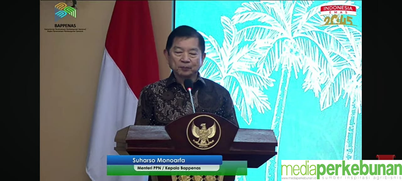 BAPPENAS Canangkan Indonesia Kembali Jadi Pemimpin Global Perkelapaan