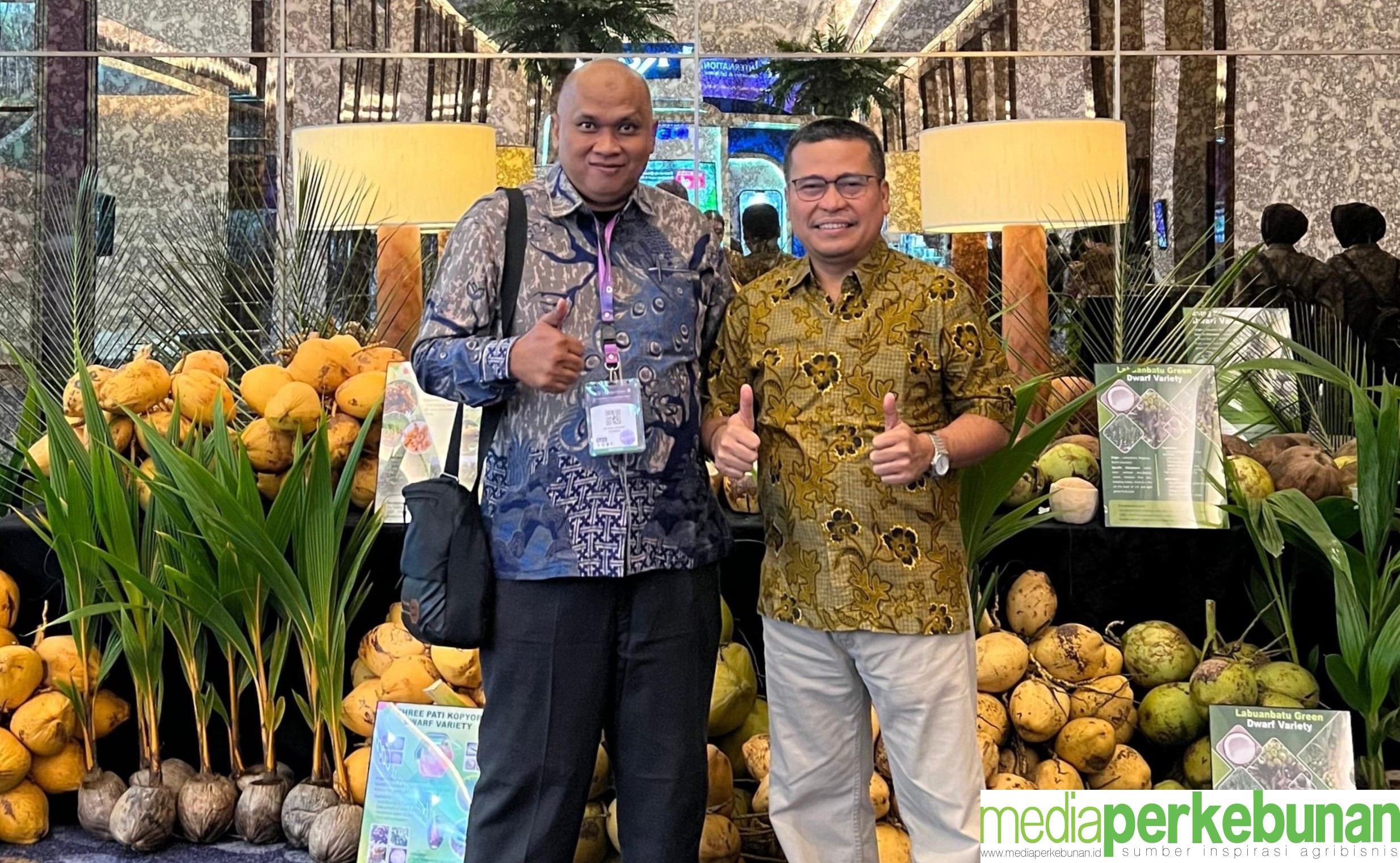 Prospek Cerah Kelapa Kopyor dengan Teknologi Kultur Jaringan