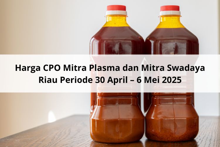 Beda Nasib antara Harga CPO Mitra Plasma dan Mitra Swadaya Riau Periode 30 April – 6 Mei 2025